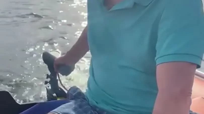 Китовод делится впечатлениями от лодки